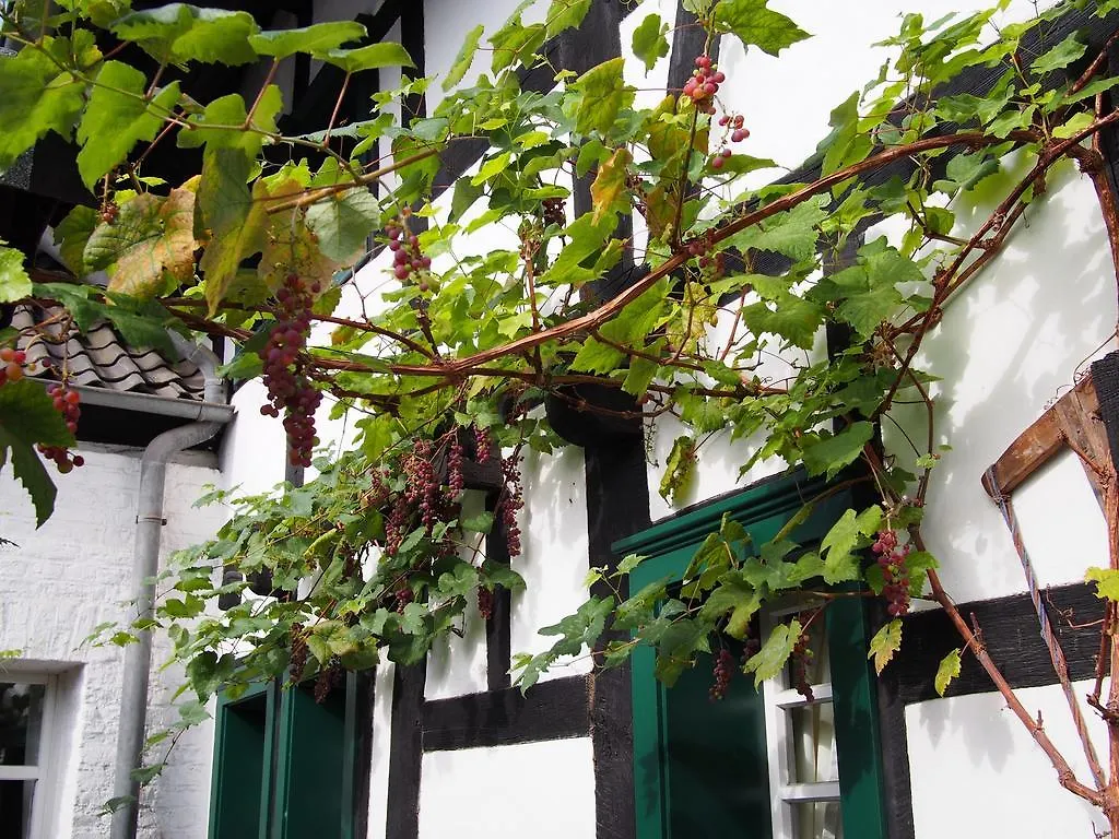 Falderhof Köln 3*,